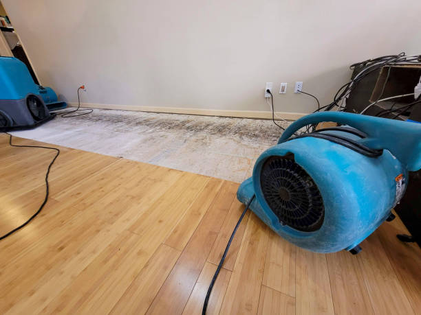 Professional Flood Damage Cleanup technician working in Clearwater Beach, FL